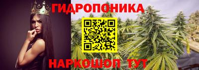 скорость Будённовск