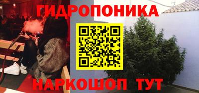 скорость Будённовск